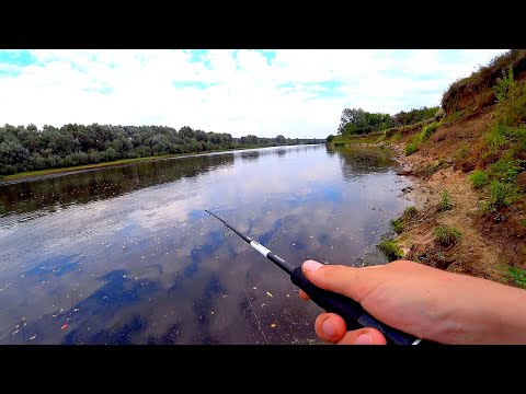 Видео: Клёв перед ГРОЗОЙ! Рыбалка на реке в сентябре! Судак и щука на спиннинг! Джиг на реке!