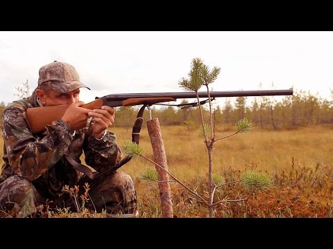 Видео: Дальнобойные дробовые патроны 60-90 м. Миф или реальность. Тест