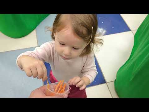 Видео: 13 ноября 2025 г.