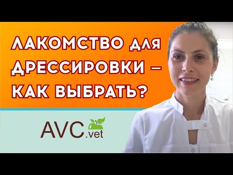 Видео: Как выбрать лакомство для дрессировки? Советы ветеринарного врача!