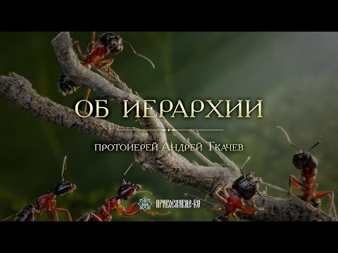 Видео: Иерархия. ЗАКОН БОЖИЙ с протоиереем Андреем Ткачевым