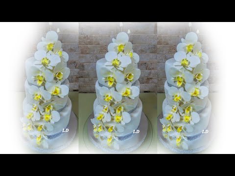 Видео: САМЫЕ НЕЖНЫЕ ОРХИДЕИ. Орхидеи из мастики.