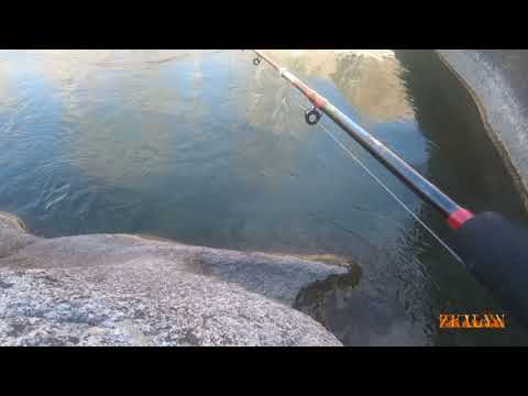 Видео: Подводная съемка османов