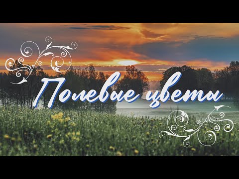 Видео: Валерий Парфёнов и Олеся Борисова - Полевые цветы