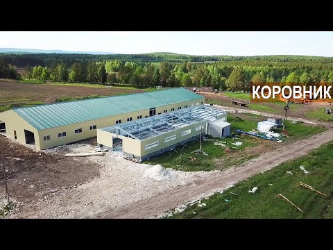 Видео: Строящийся коровник на 200 голов. КФХ Павла Дергачева.