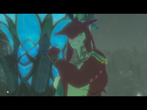 Видео: The Legend of Zelda: Breath of the Wild (NS2 Edition) - серия 22 - Принц зора (Мастер)