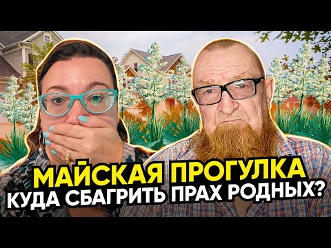 Видео: АМЕРИКАНСКИЕ ПРОБЛЕМЫ. КРЕМАЦИЯ. САЙТ ОБСУЖДАЛОК. МАЙСКАЯ ПРОГУЛКА