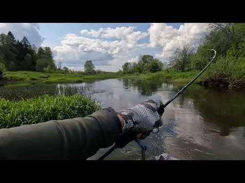 Видео: УДАЧНАЯ РЫБАЛКА НА ГОЛАВЛЯ В МАЕ! Малые реки дарят эмоции! Ловля ГОЛАВЛЯ НА КРЕНКИ ВЕСНОЙ!