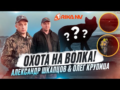 Видео: Охота на волка в Беларуси с Александром Шкапцовым и Олегом Крупицей RikaNV! Как добыть волка?!