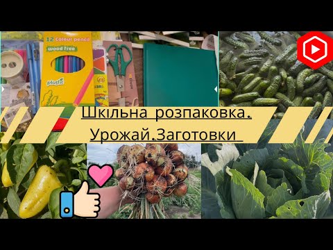 Видео: VLOG: ЗІБРАЛИ УРОЖАЙ ЦИБУЛІ / ШКІЛЬНА РОЗПАКОВКА// ЗАГОТОВКА ОГІРКІВ