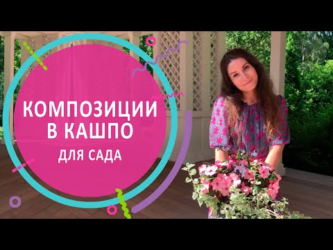 Видео: Композиции в кашпо для сада