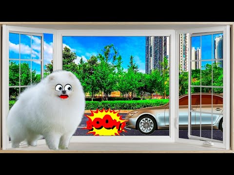 Видео: АВАРИЯ у Нашего Дома!!! Есть Пострадавшие!