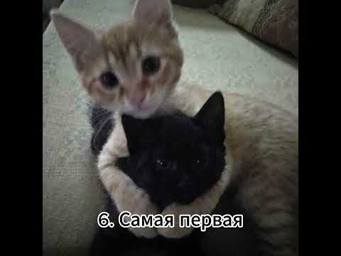 Видео: Плейлист рандомных песен (speed up)