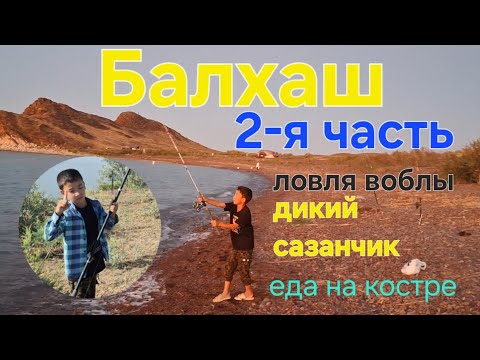 Видео: Озеро Балхаш 2-я часть