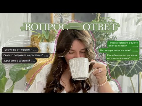 Видео: Вопрос Ответ || Сколько потратила на растения, лайфхаки, с каким растением я себя ассоциирую