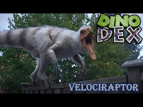 Видео: Экранное время Dino dex Velociraptor