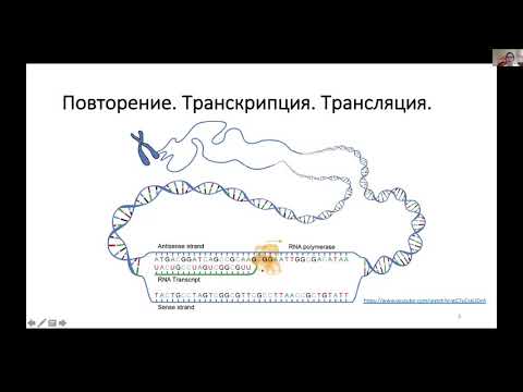 Видео: Лекция 5. Рестрикционный анализ: как применить теорию на практике