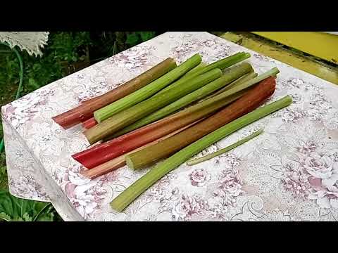 Видео: #Повидло из ревеня, #заготовки, как я это делаю