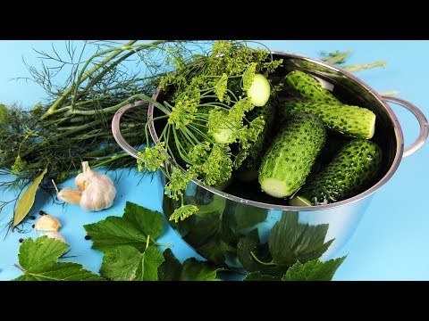 Видео: Малосольные Огурцы. Вкусные,Хрустящие. Бабушкин рецепт | Просто Кухня - Выпуск 74