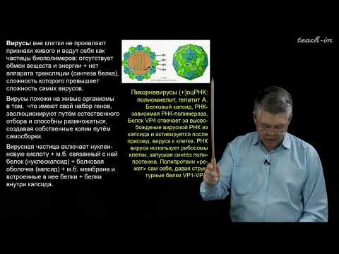 Видео: Дубынин В.А. - 100 часов школьной биологии - 2.8. Вирусы