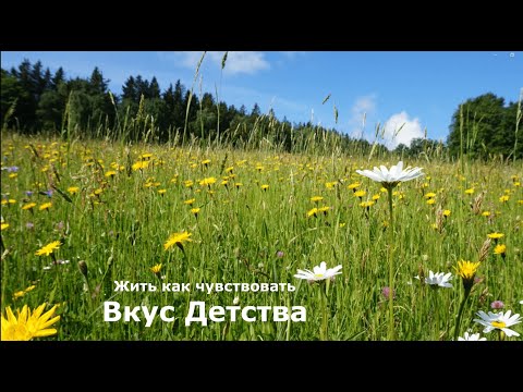 Видео: Жить как чувствовать. Вкус Детства