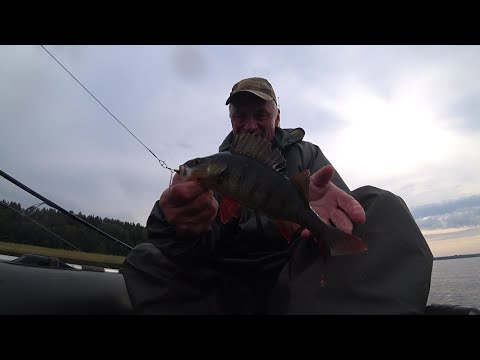 Видео: Озеро Глубокое. Рыбалка 14.09.25.