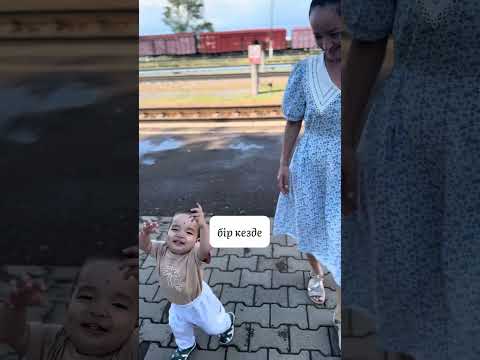 Видео: Жалтыр 24