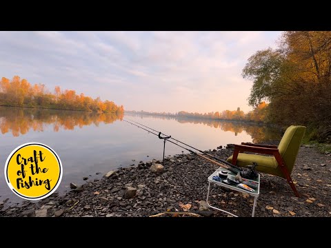 Видео: У пошуках ОСІННЬОЇ ПЛОТВИ🍂❗️🍁ЖОВТНЕВИЙ фідер на Десні ❗️