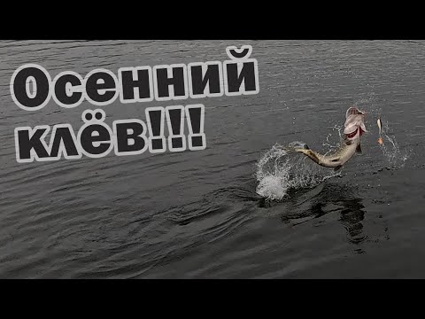 Видео: НОВЫЙ РЕКОРД ПО ЩУКЕ!!! ОХОТА НА МОНСТРОВ ПРОДОЛЖАЕТСЯ!!!