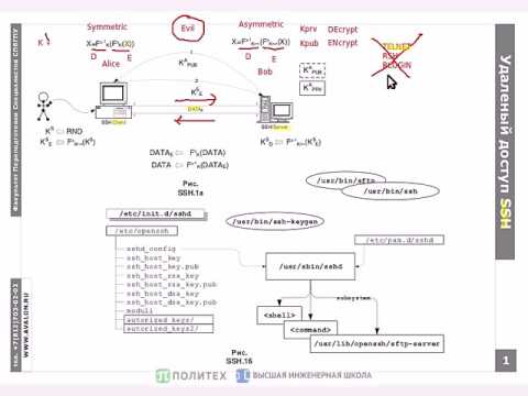 Видео: SSH: Протокол удаленного защищенного доступа