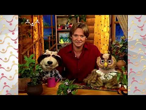 Видео: Шишкин Лес.  Новый сад Совы