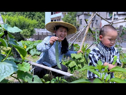 Видео: Собирая огурцы на приусадебном участке, Йике боится огурцов, что заставляет людей смеяться.