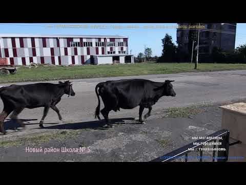 Видео: 02 78&79&80 СУХУМИ 10 09 2020 в Новый район Ж ГВАЗАВА Что же делать&HARLEY Город  капкан& СВЯТОЗАР