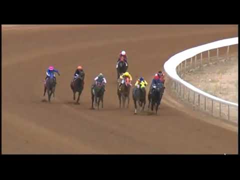 Видео: R7 ZIA PARK США 18 ноября 2025 г.