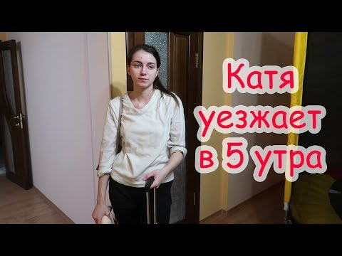 Видео: VLOG Домашние будни. Моднявочка. Эйнштейн уехал к Кате.