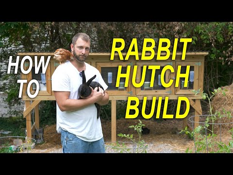 Видео: КЛЕТКА ДЛЯ КРОЛИКА — ЗАЩИЩЕННАЯ ОТ ХИЩНИКОВ — Как построить