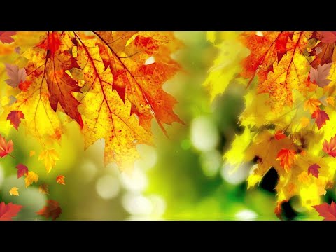 Видео: Пісня - танок "Осінні листочки"