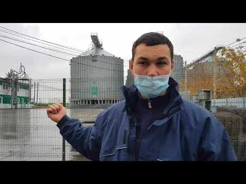 Видео: Видеоэкскурсия по Заинскому Элеватору - холдинга "АГРОСИЛА"