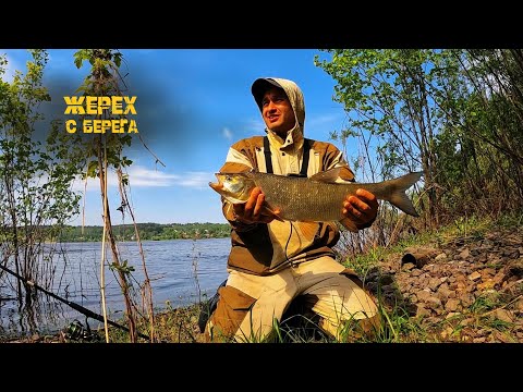 Видео: Спининг с берега, а что, тоже тема! р.Кама