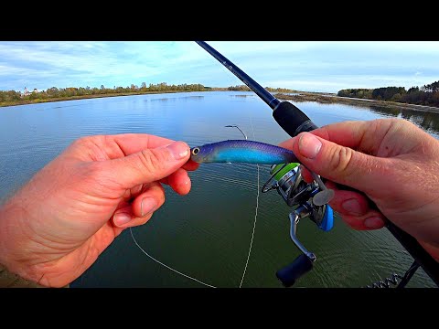 Видео: ЭТА ПРИМАНКА СНОВА СПАСЛА РЫБАЛКУ! ЛОВЛЯ ЩУКИ!  Рыбалка на спиннинг осенью