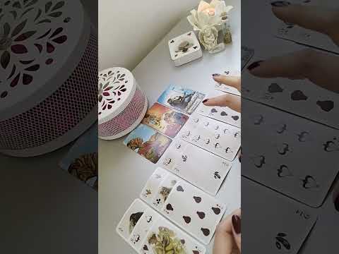 Видео: ♌ЛЪВ през МАЙ ТАРО послание