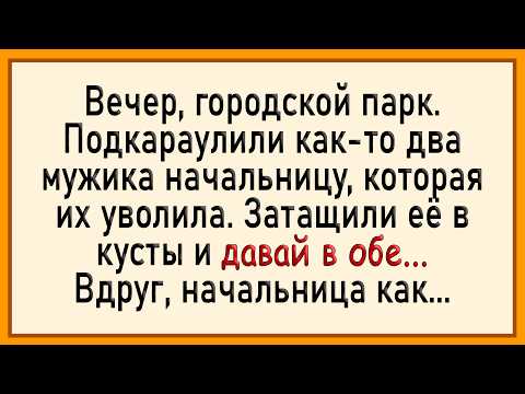 Видео: Как начальницу в кусты затащили! Сборник свежих анекдотов! Юмор!