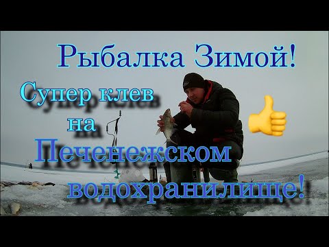 Видео: Рыбалка Зимой! Супер клев на Печенежском водохранилище! #maximusрыбалка #рыбалка2021