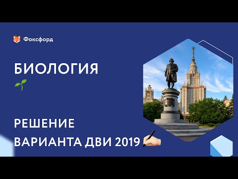 Видео: Решаем задания ДВИ МГУ 2019 по биологии