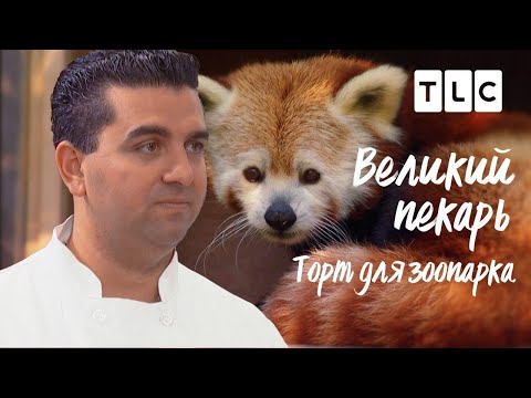 Видео: Торт для зоопарка | Великий пекарь | TLC