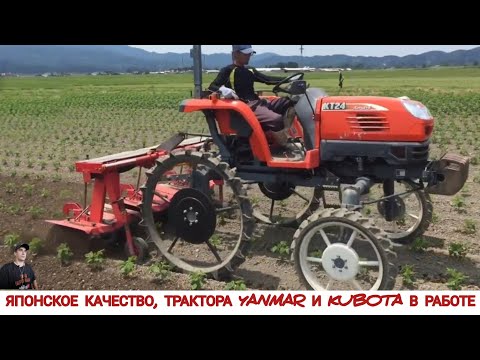 Видео: ЯПОНСКОЕ КАЧЕСТВО, ТРАКТОРА YANMAR И KUBOTA В РАБОТЕ / KUBOTA AND YANMAR TRACTORS IN WORK