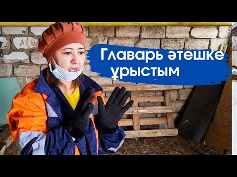 Видео: Vlog. Ақ әтешке ұрыстым.Басқа әтешке күн бермейд екен