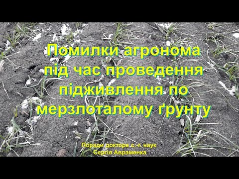 Видео: Ошибки агронома во время проведения подкормок по мерзлоталой почве