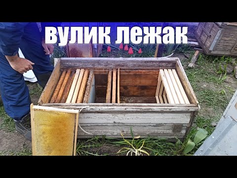 Видео: Вулик лежак як із ним працювати