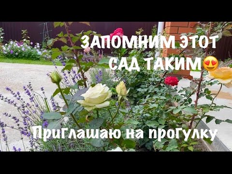 Видео: 🍀НОВИНКИ В САДУ| Прогулка по саду 24.09.2025| Запомним этот сад таким😍